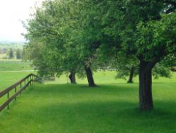 2013-06-08_Radtour_Iffeldorf-Aiderbichl (037).JPG